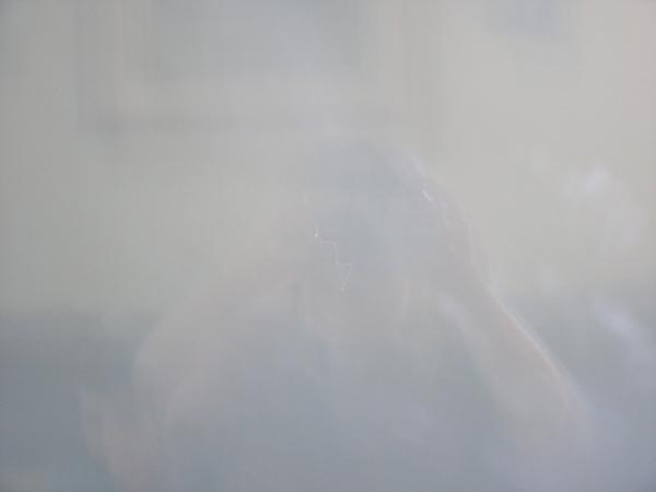Loading Image...